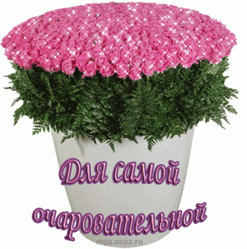 http://data12.proshkolu.ru/content/media/pic/std/5000000/4131000/4130365-13ec5392f181263c.gif