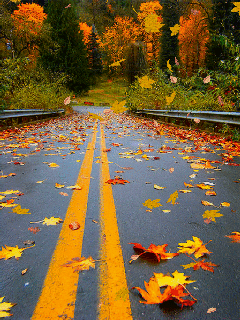 http://data12.proshkolu.ru/content/media/pic/std/5000000/4454000/4453284-2ad236a51cffa1cc.gif