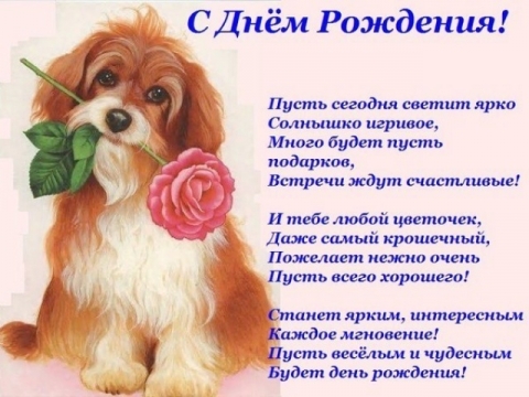Поздравление с днем рождения сестре 40 лет Поздравление с днем рождения сестре 40 лет