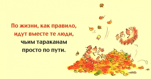 http://data12.proshkolu.ru/content/media/pic/std/6000000/5712000/5711946-14f4459a30870a9f.jpg