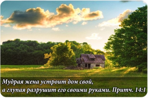 Мудрая жена устроит дом свой а глупая разрушит его своими руками 68