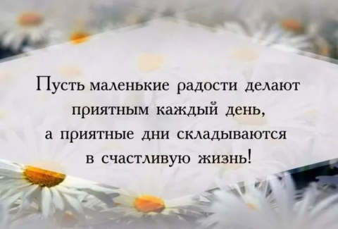 Стих тима собакина Стих тима собакина