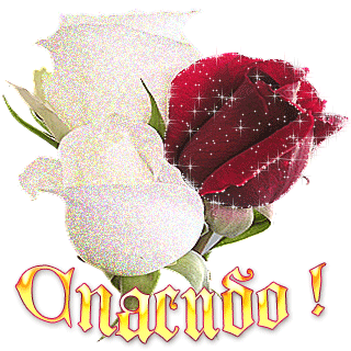 Picture background