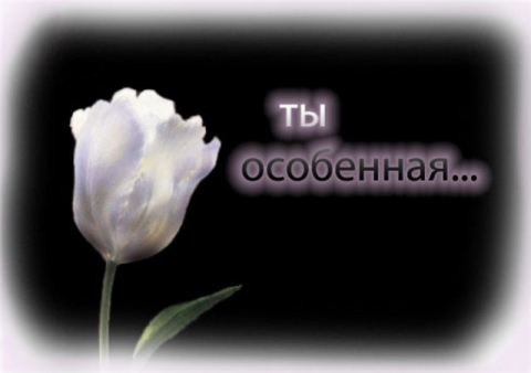 А ТЫ ОСОБЕННАЯ ОСОБА СКАЧАТЬ БЕСПЛАТНО А ТЫ ОСОБЕННАЯ ОСОБА СКАЧАТЬ БЕСПЛАТНО