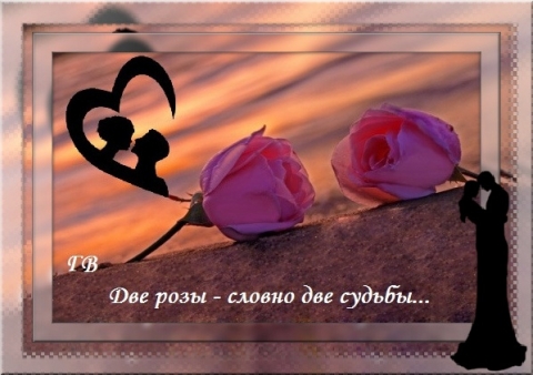 Две розы стихотворение. Две розы отклонены друг от друга. Гарвуд джулия "две розы". Николай гумилёв - две розы. Книга две розы (гарвуд джулия).