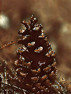 Гигрома запястного сустава. Закупаем кедровую шишку. Гигрома грыжа суставная. Шишки сосновые для презентации. Стикер шишки в вк.