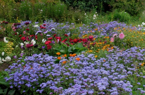 http://data12.proshkolu.ru/content/media/pic/std/6000000/5090000/5089463-8279e9b093762c13.jpg