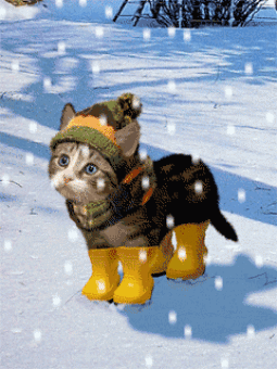 Смешные Зимние Гифы