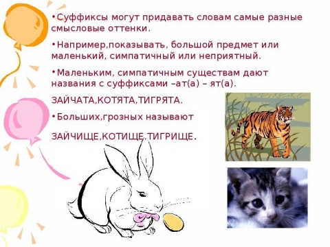 Суффикс котик