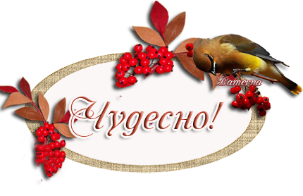Спасибо наталии