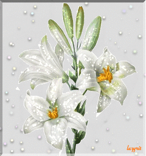 Букет лилий картинки гифки