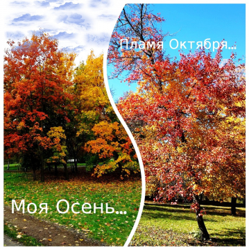 Осенний вальс. Солнечная осень. Объятый пламенем. Осенний вальс шопен. Силуэты объятия огонь и лед.