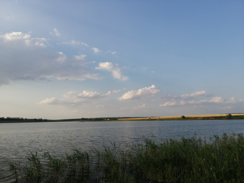 Шибаево озеро алтайский край на карте